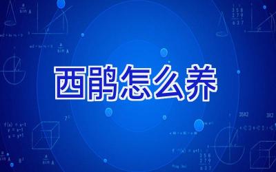 西鹃怎么养插图