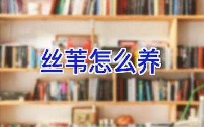 丝苇怎么养插图