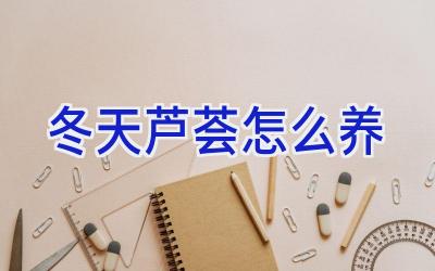 冬天芦荟怎么养插图