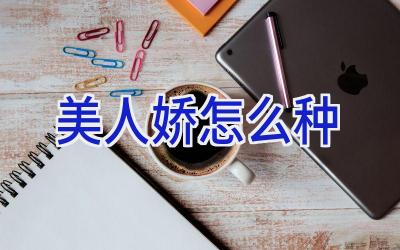 美人娇怎么种插图 美人娇怎么种插图