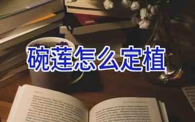 碗莲怎么定植插图