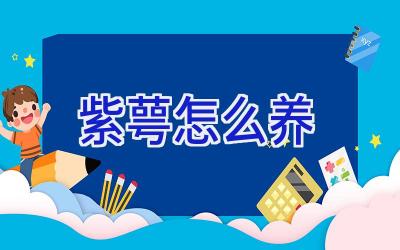 紫萼怎么养插图 紫萼怎么养插图