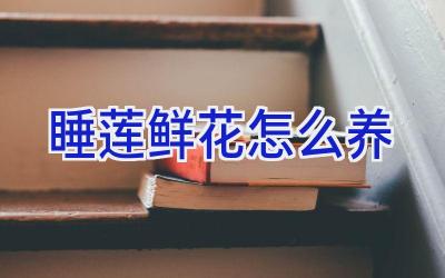 睡莲鲜花怎么养插图