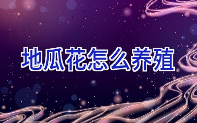 地瓜花怎么养殖插图