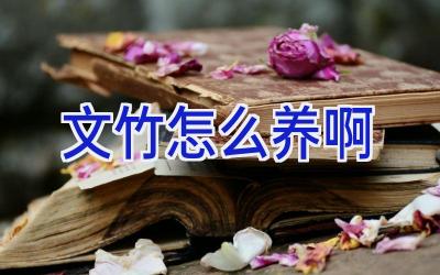 文竹怎么养啊插图