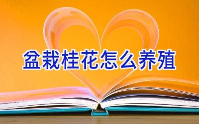 盆栽桂花怎么养殖插图