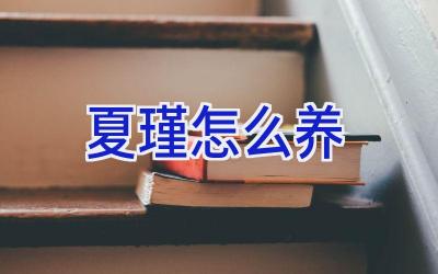 夏瑾怎么养插图