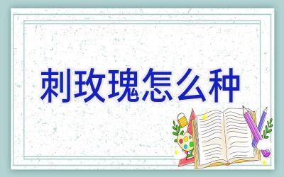 刺玫瑰怎么种插图