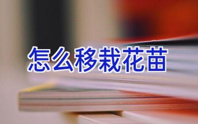 怎么移栽花苗插图