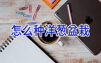 怎么种洋葱盆栽插图