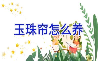 玉珠帘怎么养插图