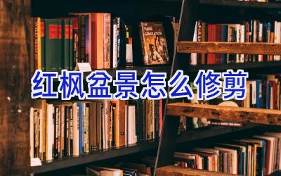 红枫盆景怎么修剪插图
